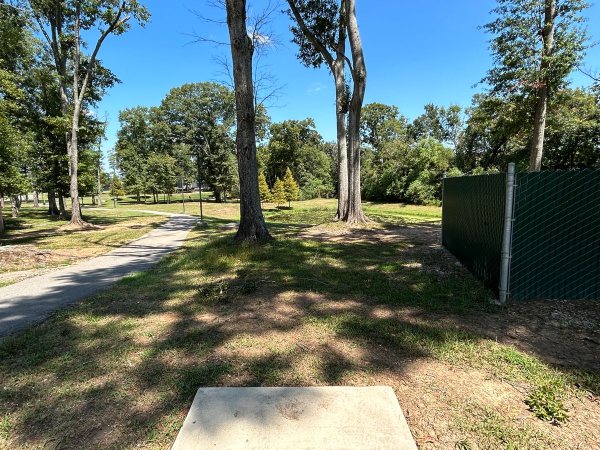 Hole 2 Fairway (White)