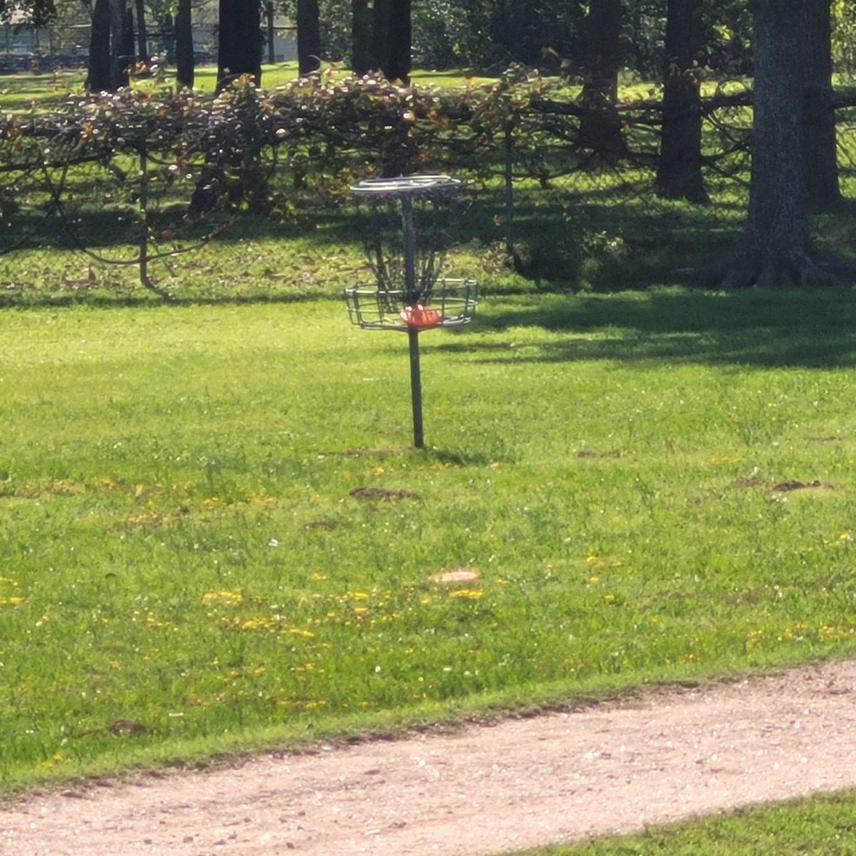 Polecat ace hole 7