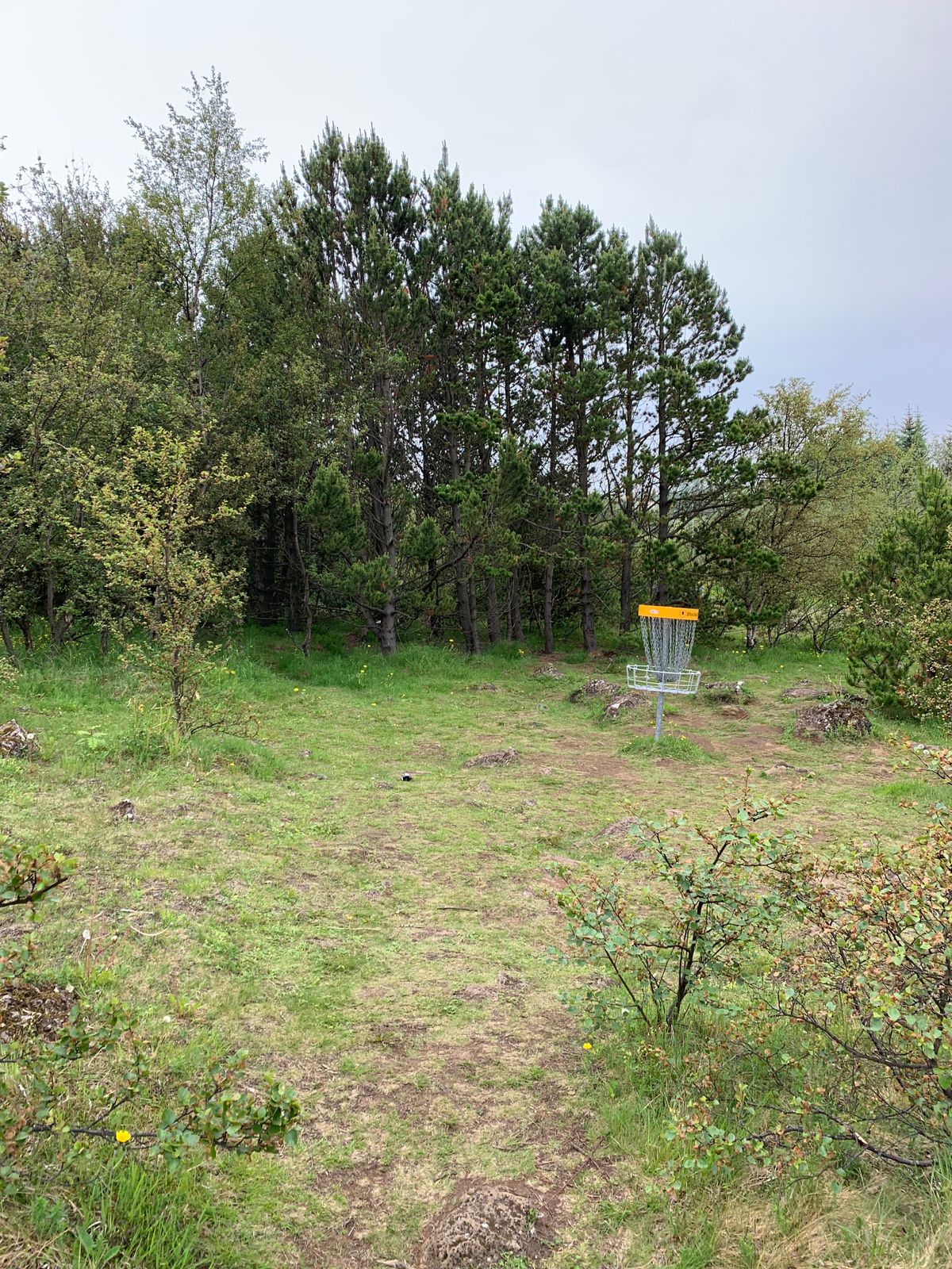 Hole 3
