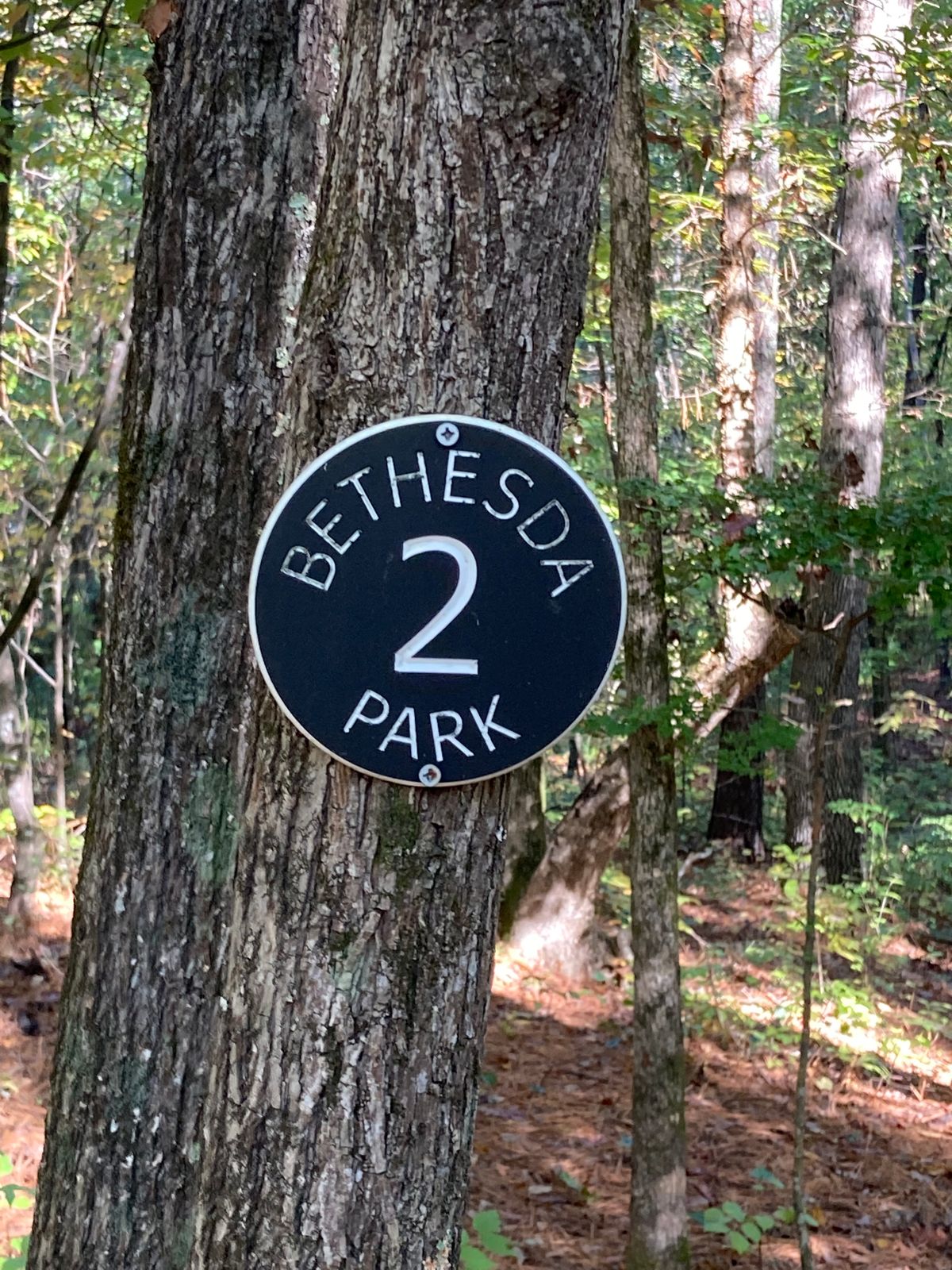 Majority of sign markings- Hole 2.