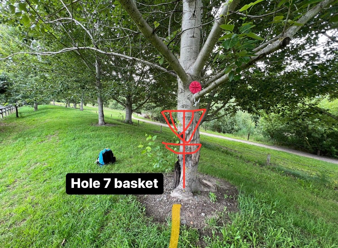 Hope 7 basket