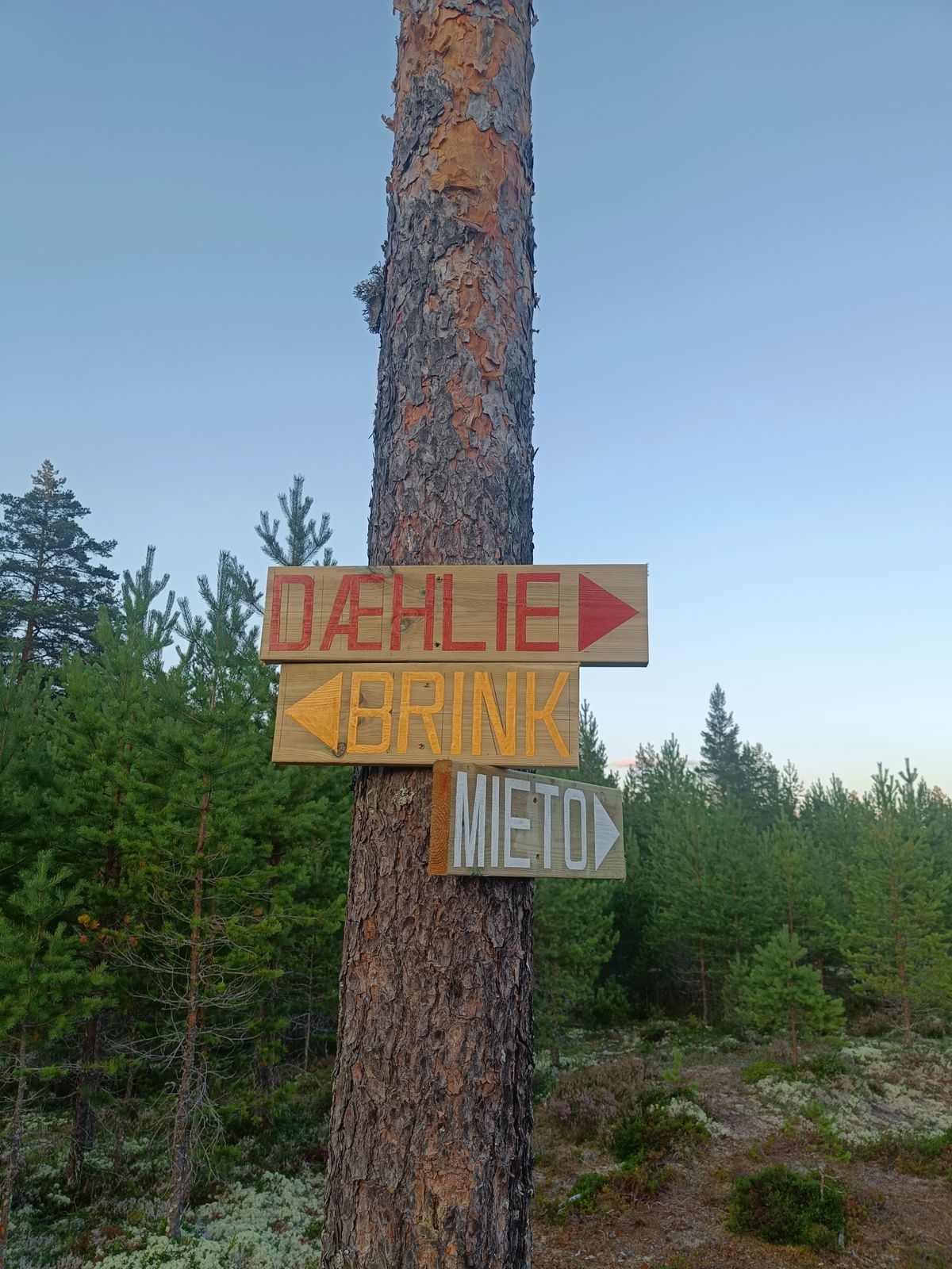 Different layouts to choose from at Løvbergsmoen