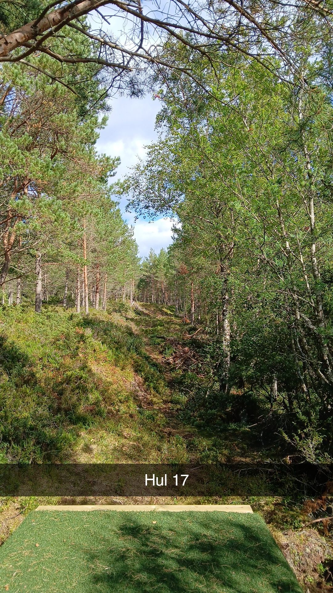 Blå