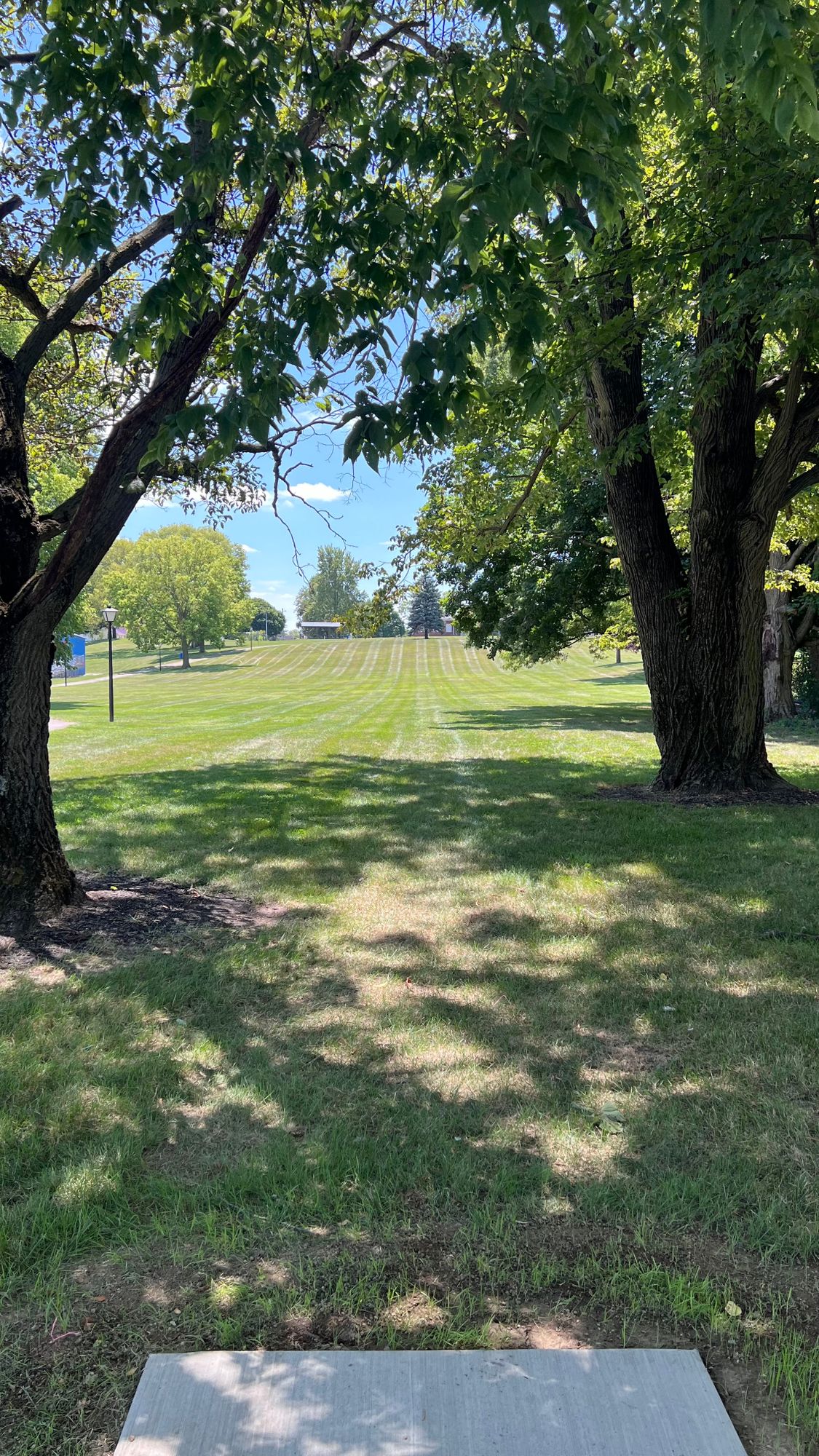 Hole 8 tee (dogleg right).