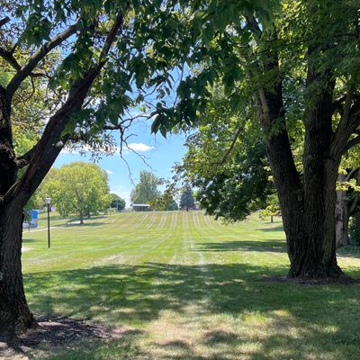 Hole 8 tee (dogleg right).