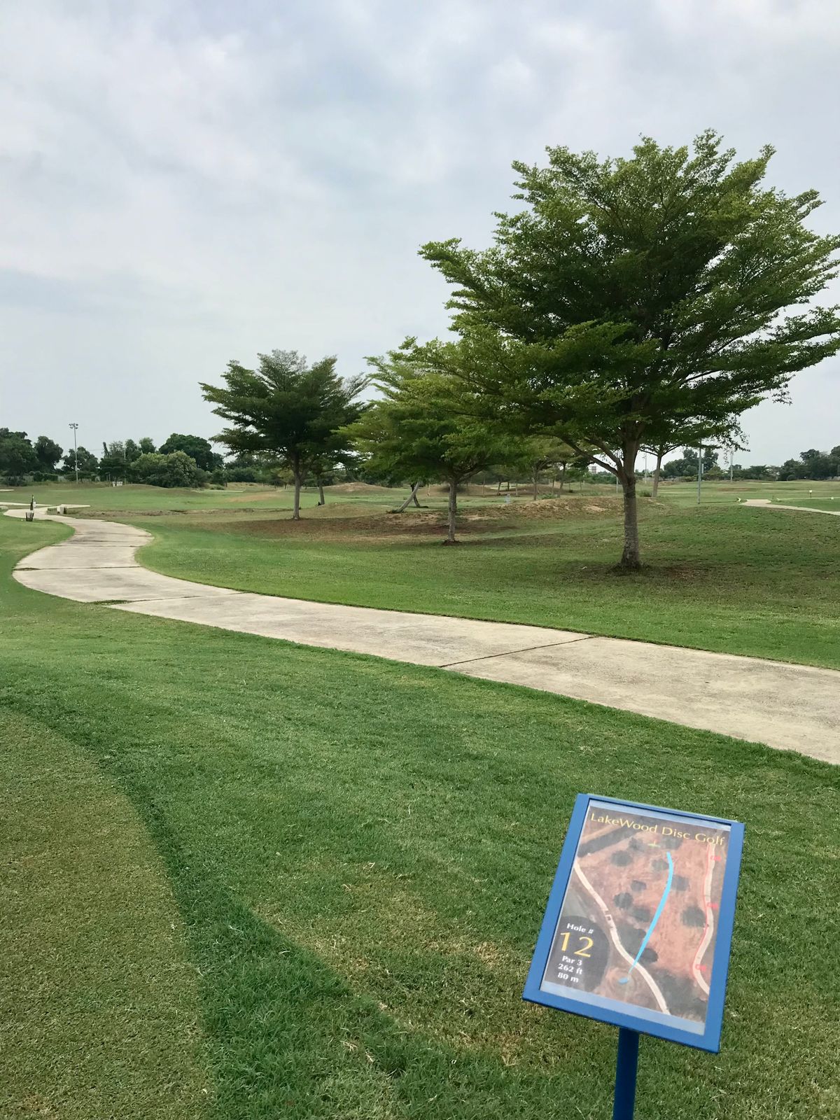 Hole 12 Tee