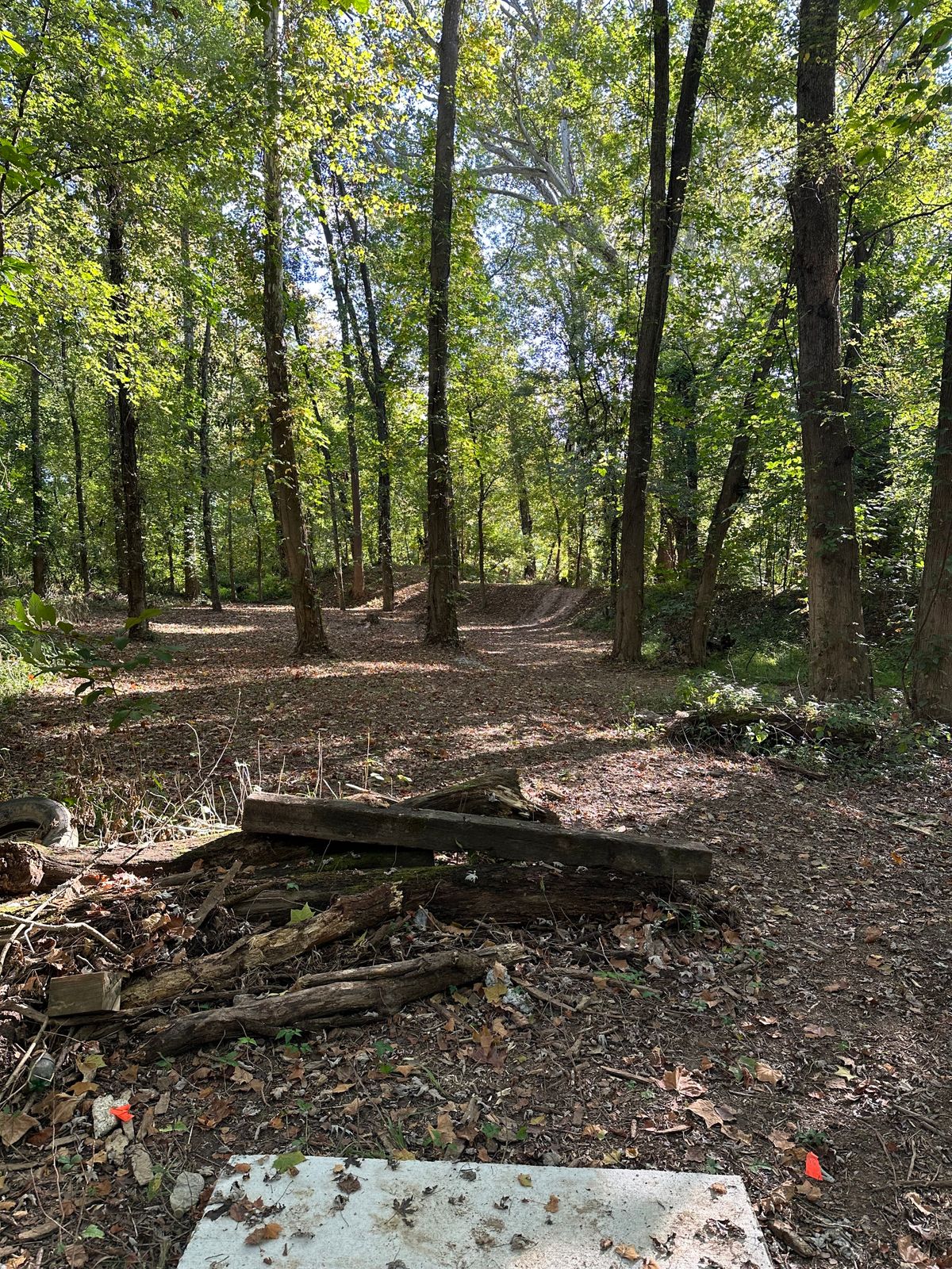 Hole 6
