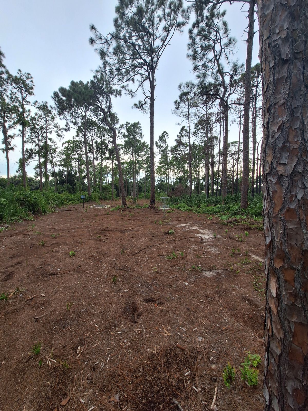 Hole 8 pin location