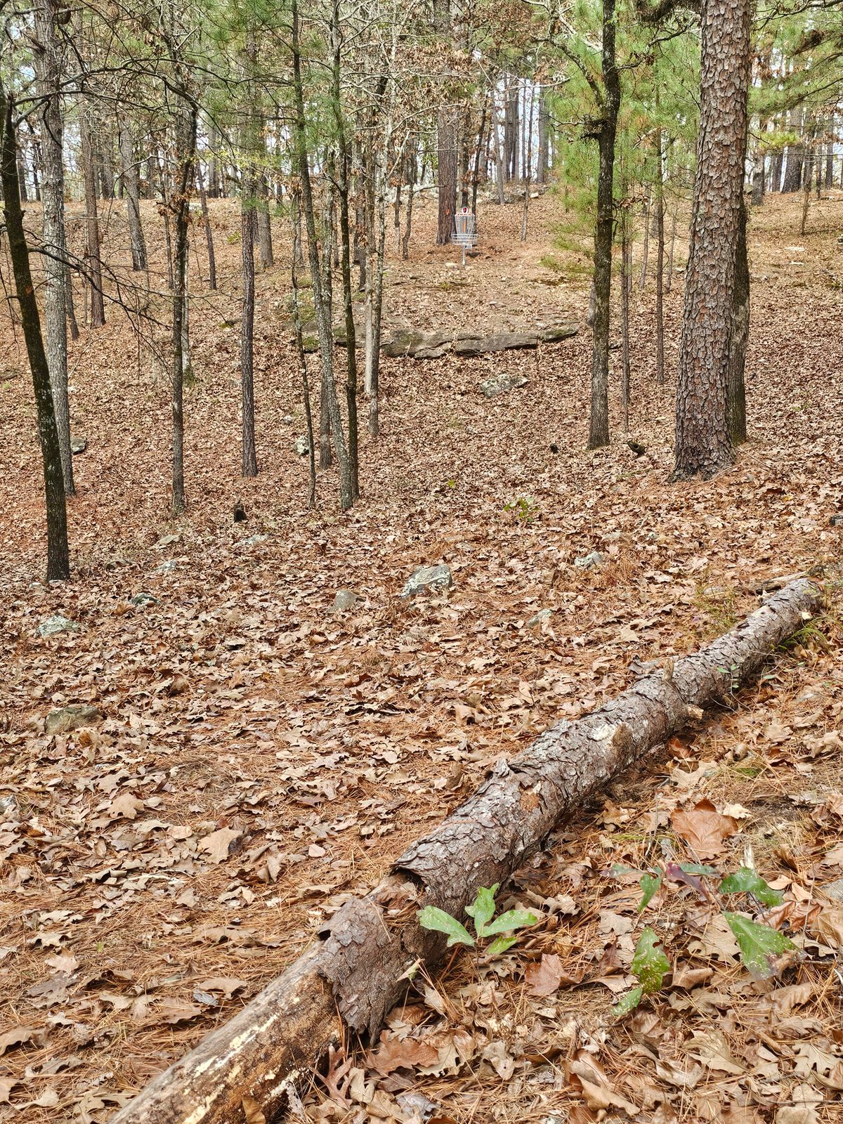 Hole 7