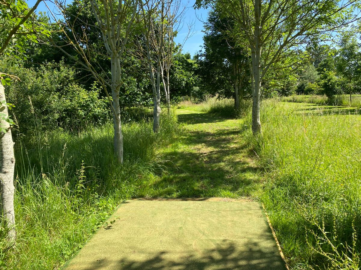 Hole 3