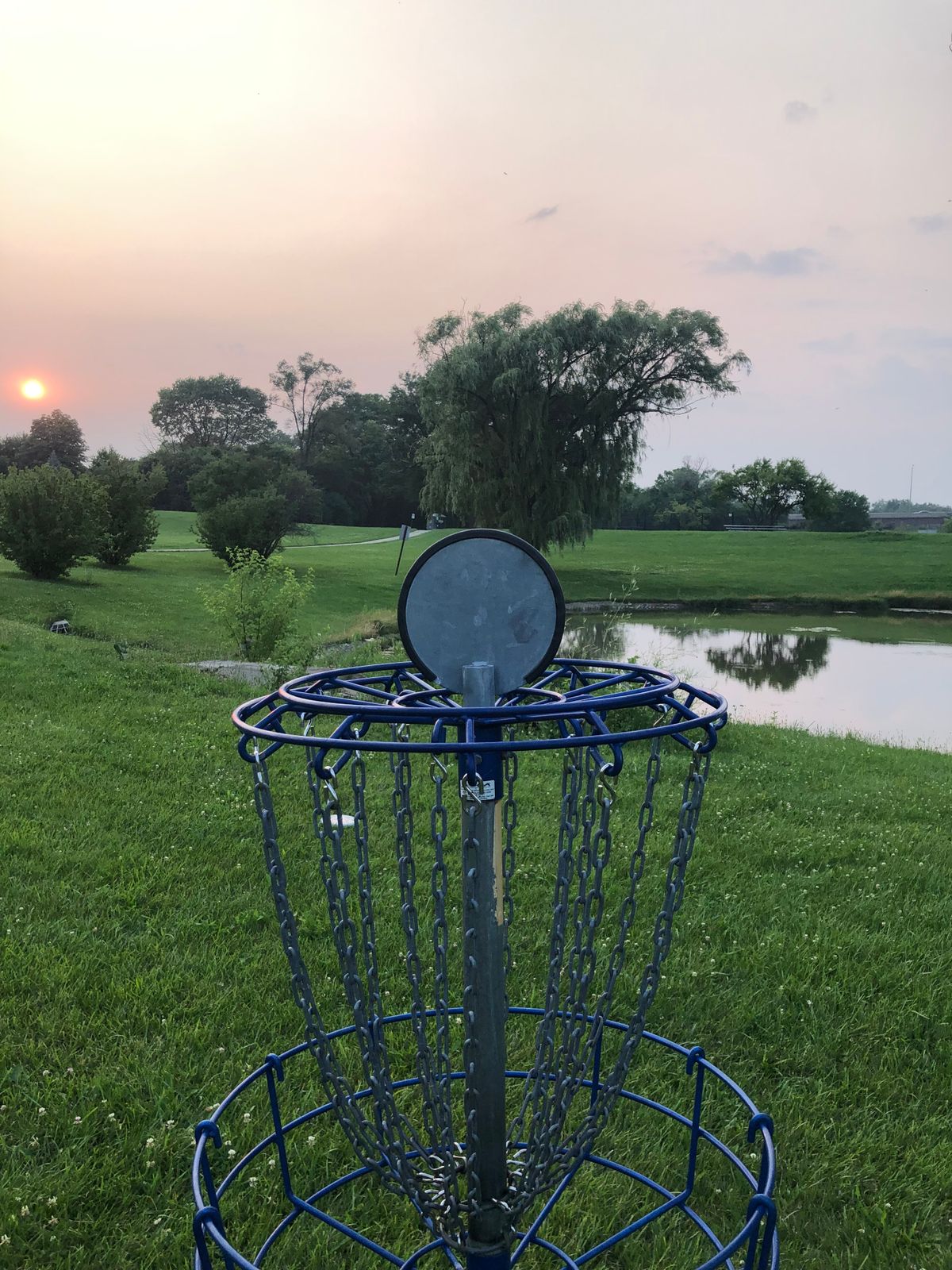 Hole #7 basket