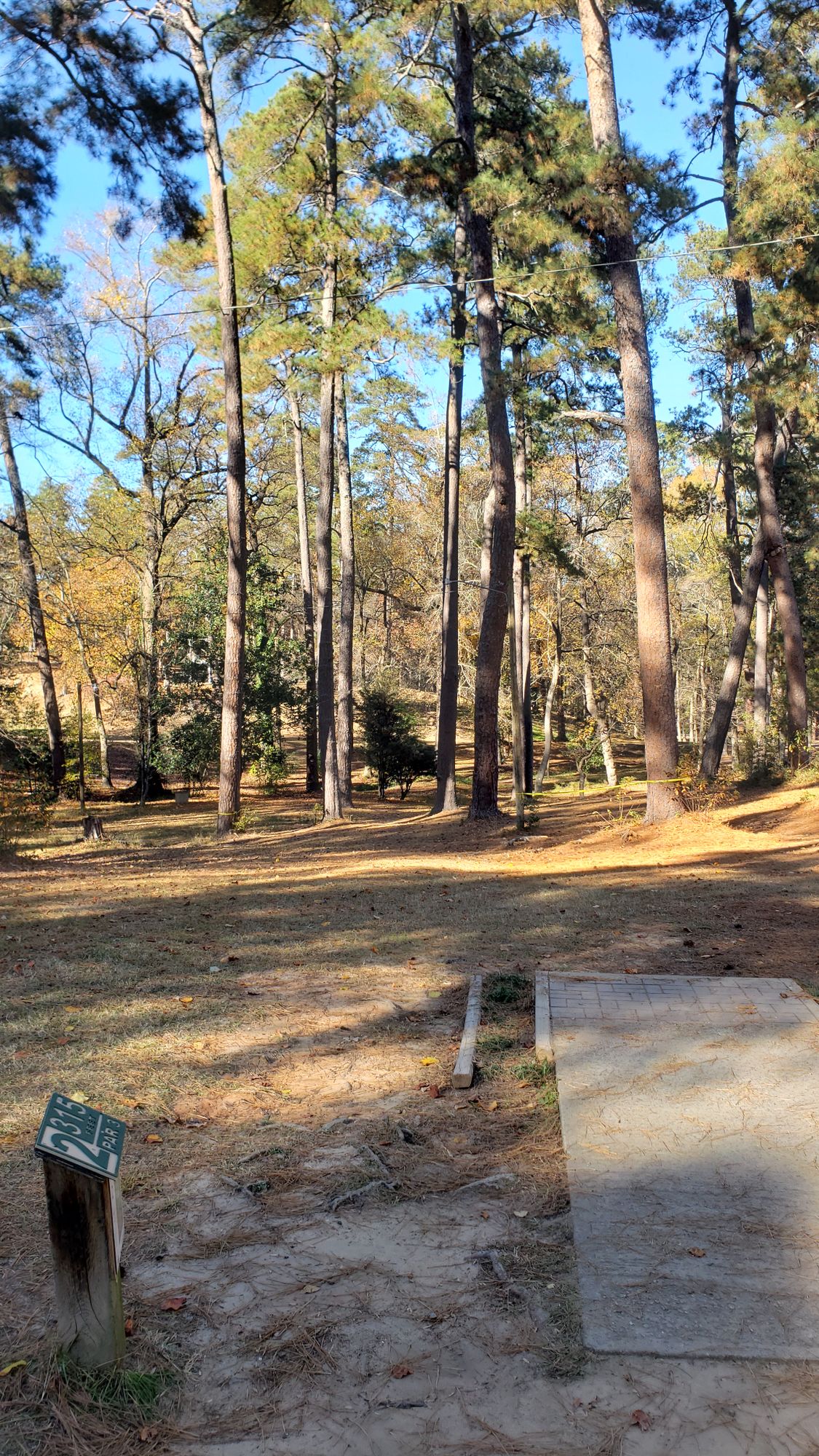 Hole #2 Tee