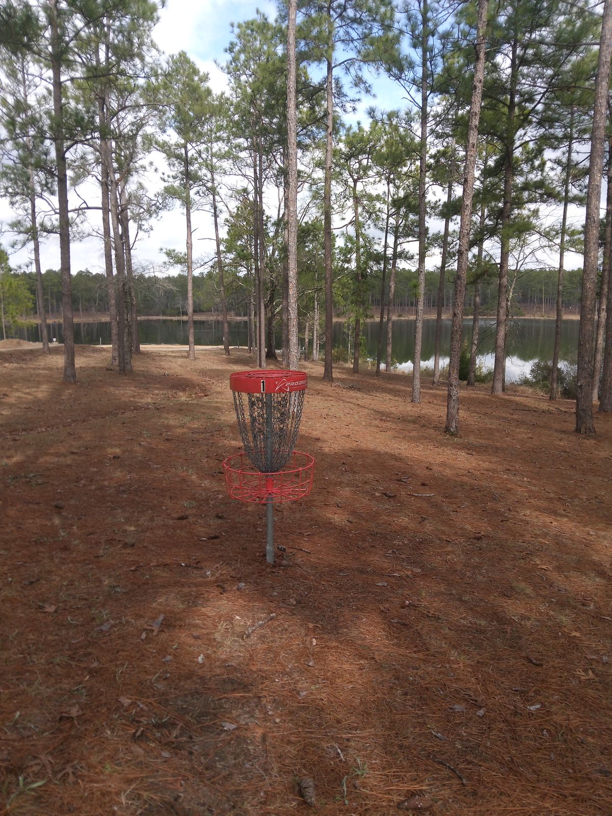 View at basket 1. Tee area is behind and uphill