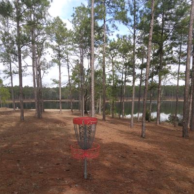 View at basket 1. Tee area is behind and uphill