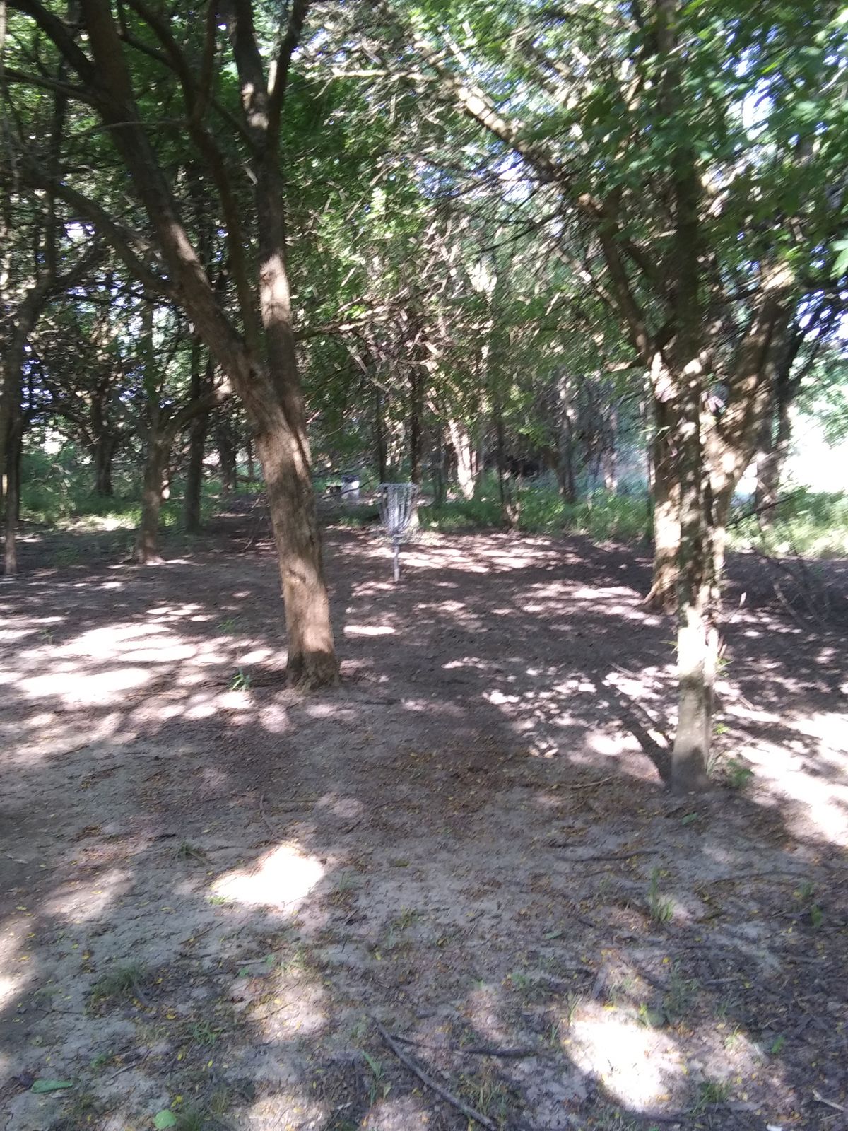 Hole 11