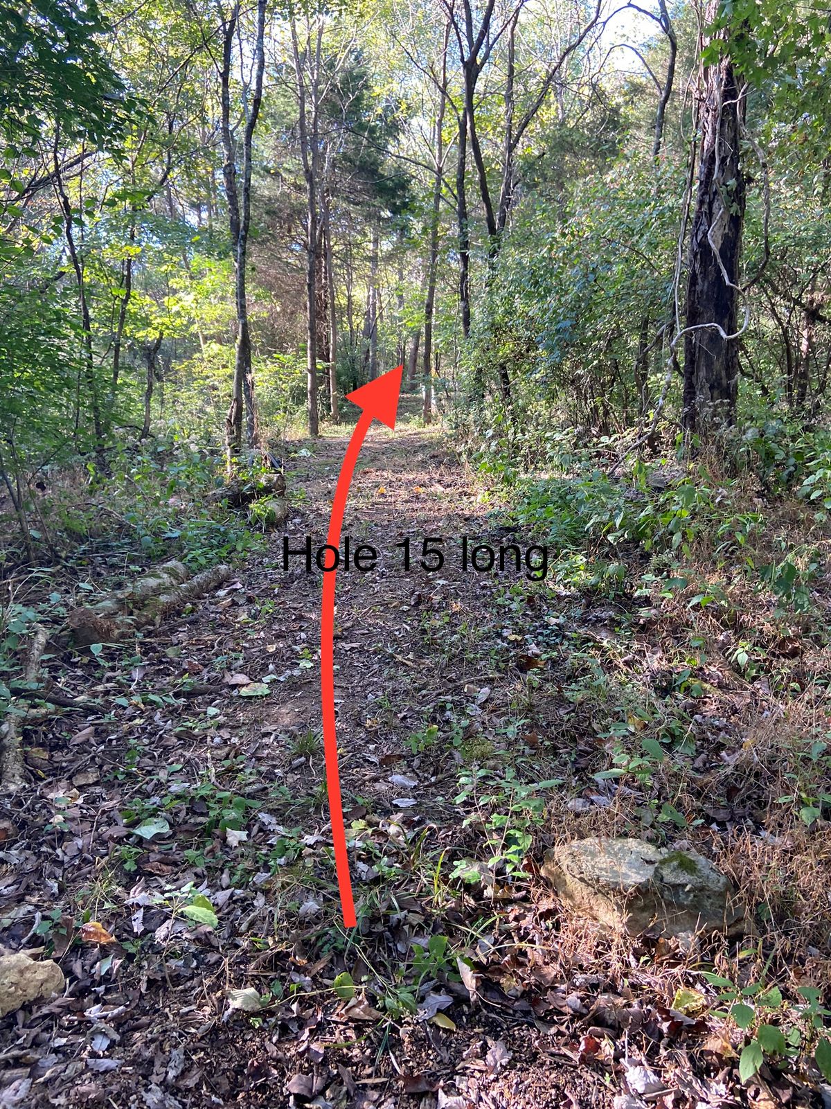 Hole 15 long