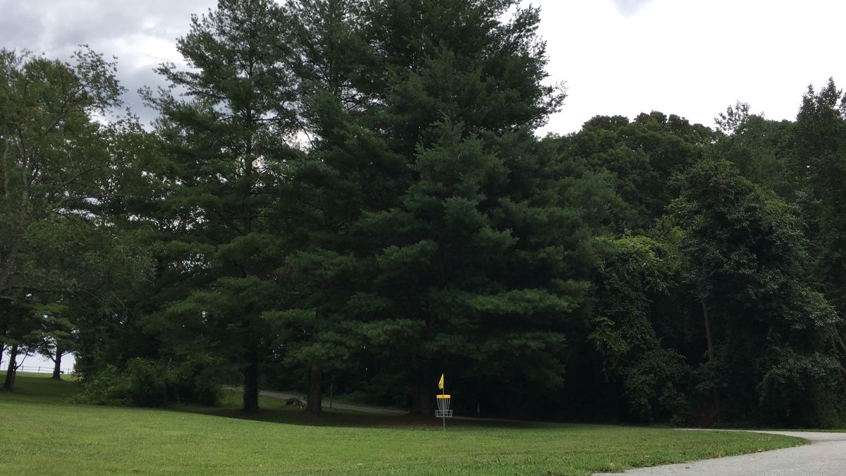 Hole 11