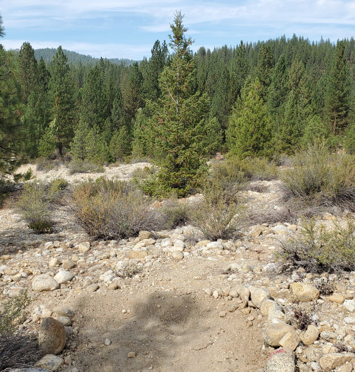 Hole 8