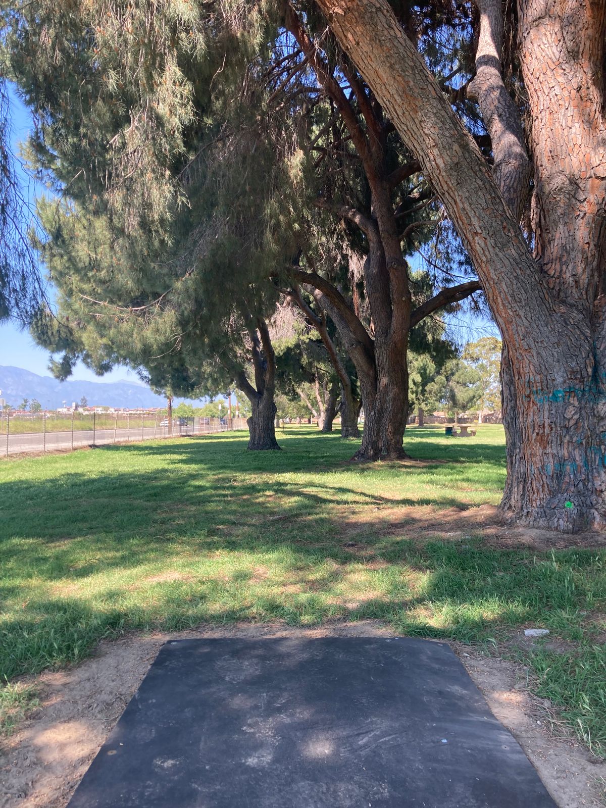 Alternate hole 4 tee-pad!