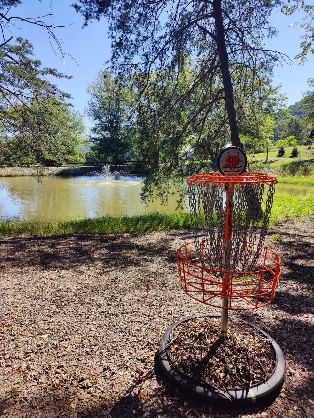 Basket 9, with the only water in play on the course!