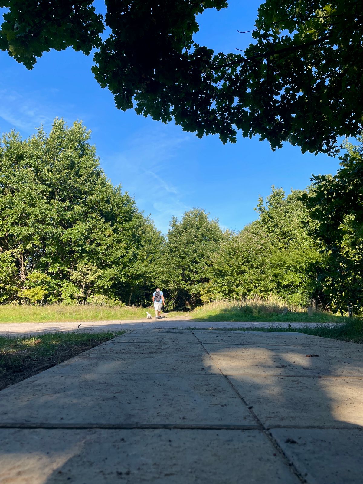Hole 9
