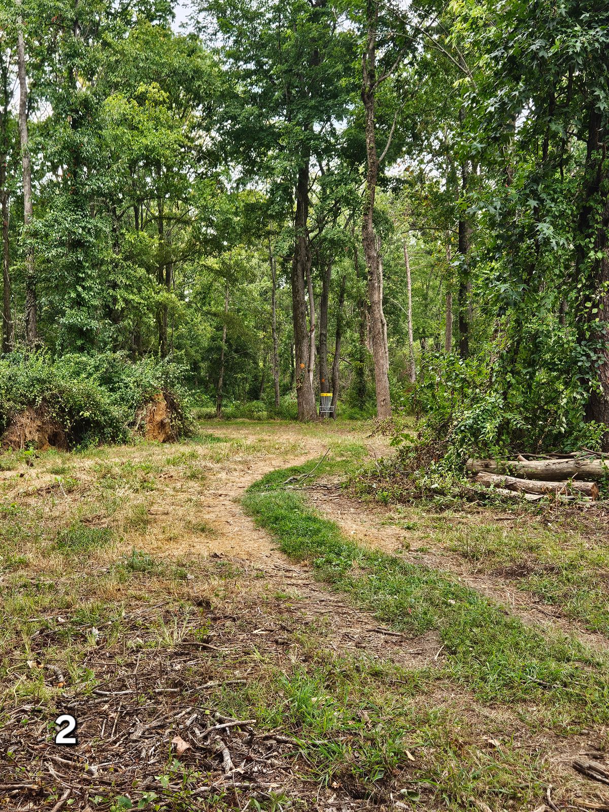 Hole 2