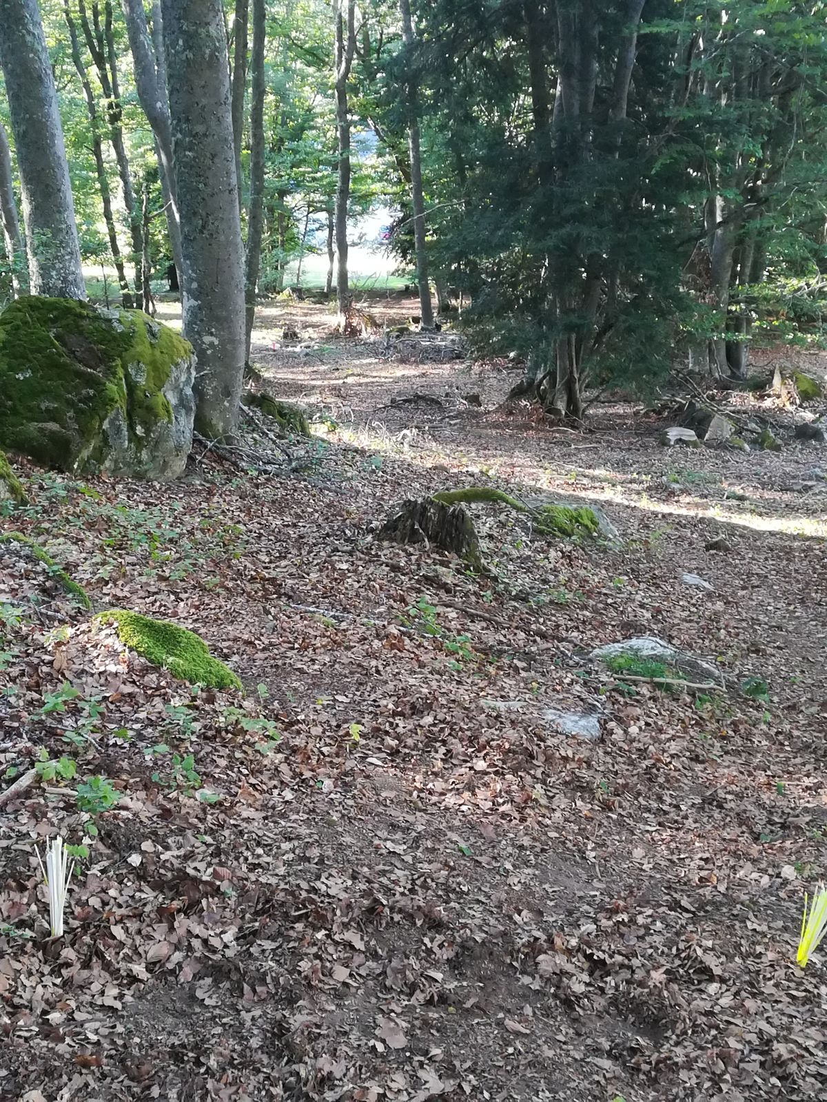 #hole 8