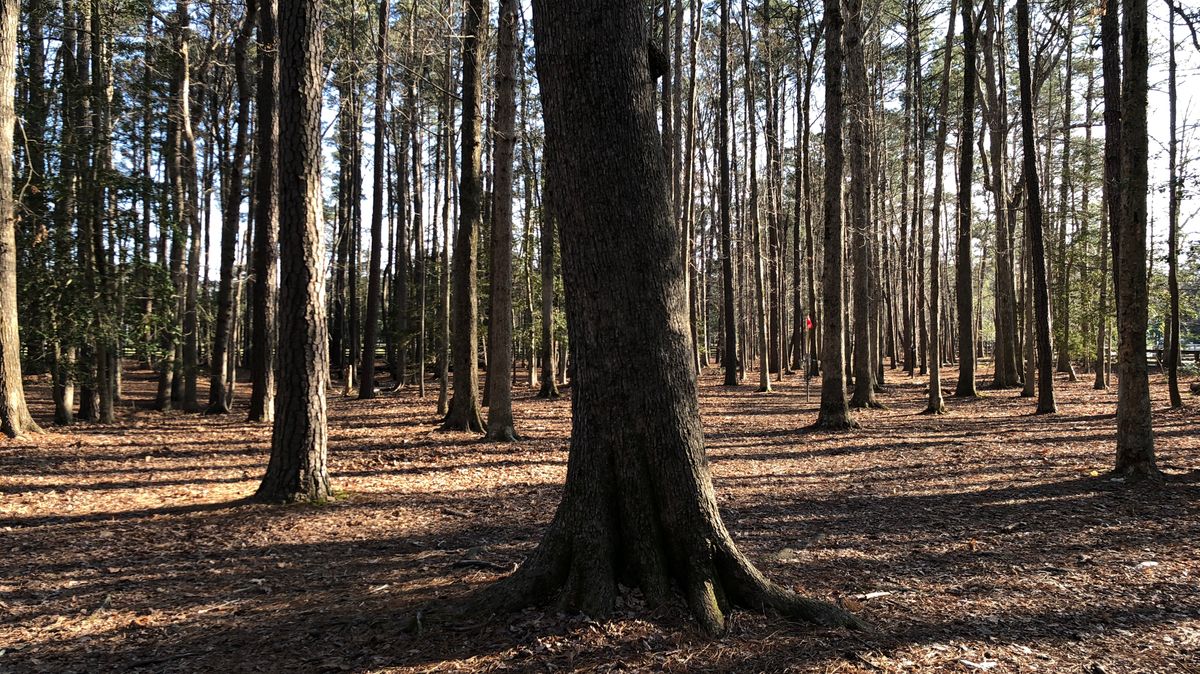 Hole 7