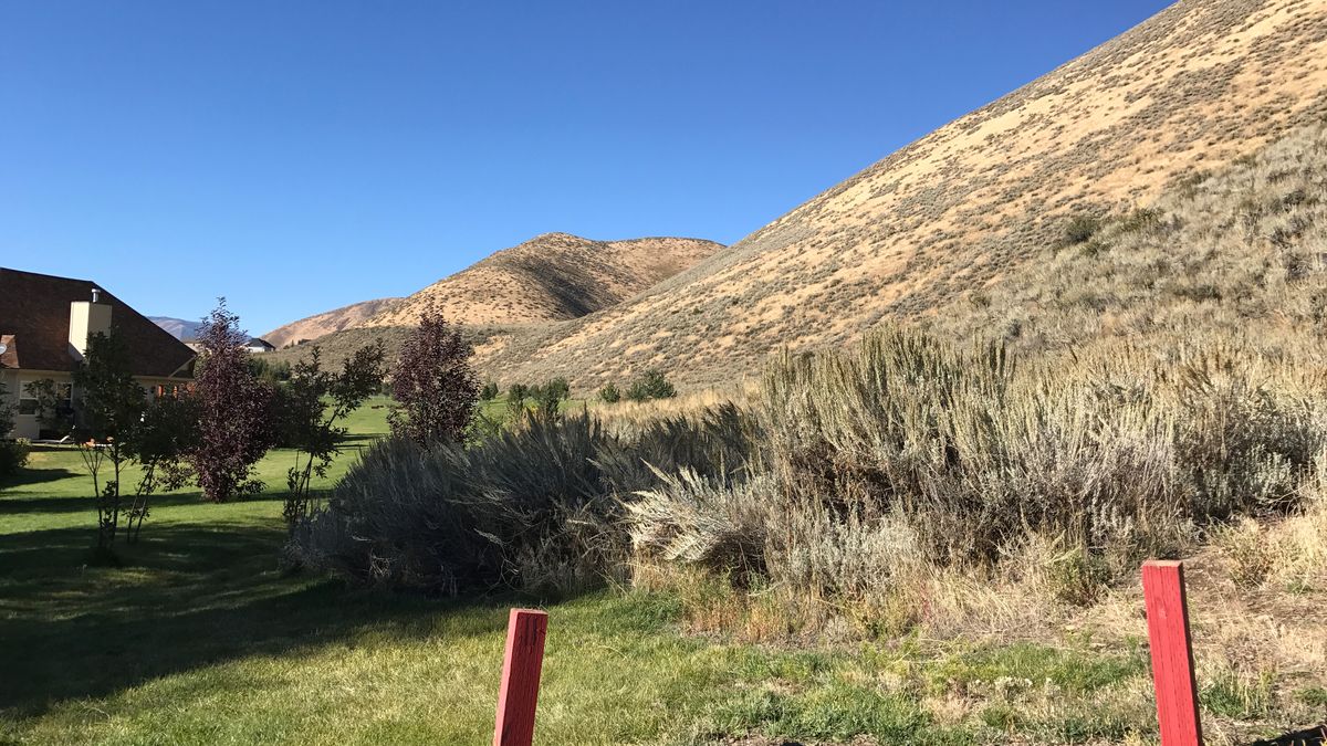 Hole 11
