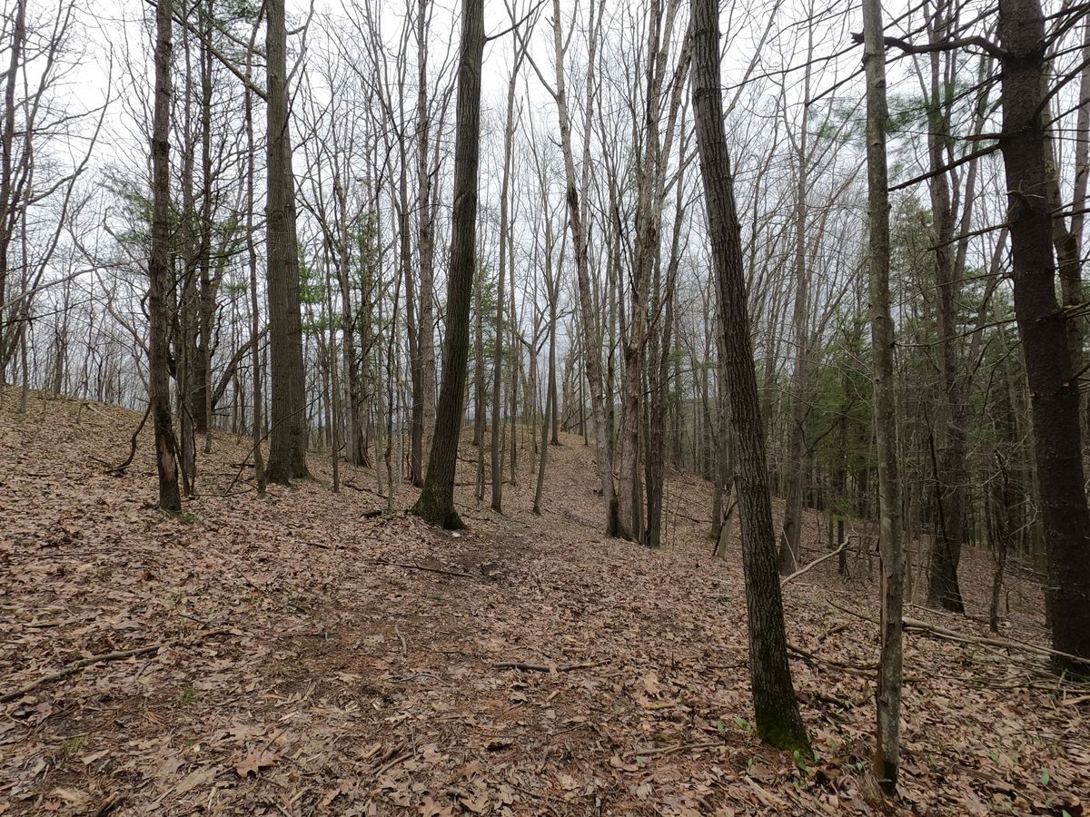 Hole #13 Tee