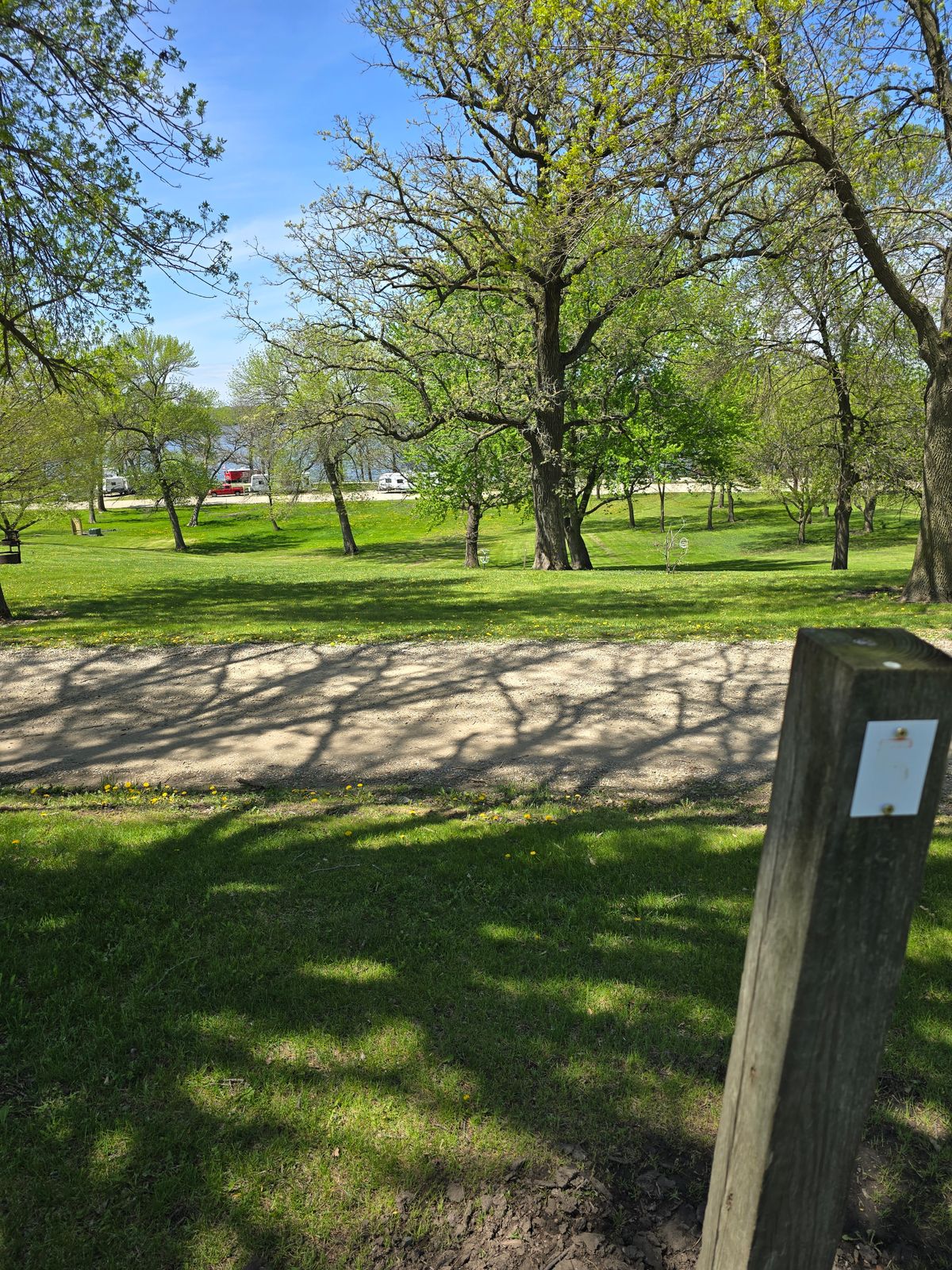 Tee 5 (straight basket left of tree)