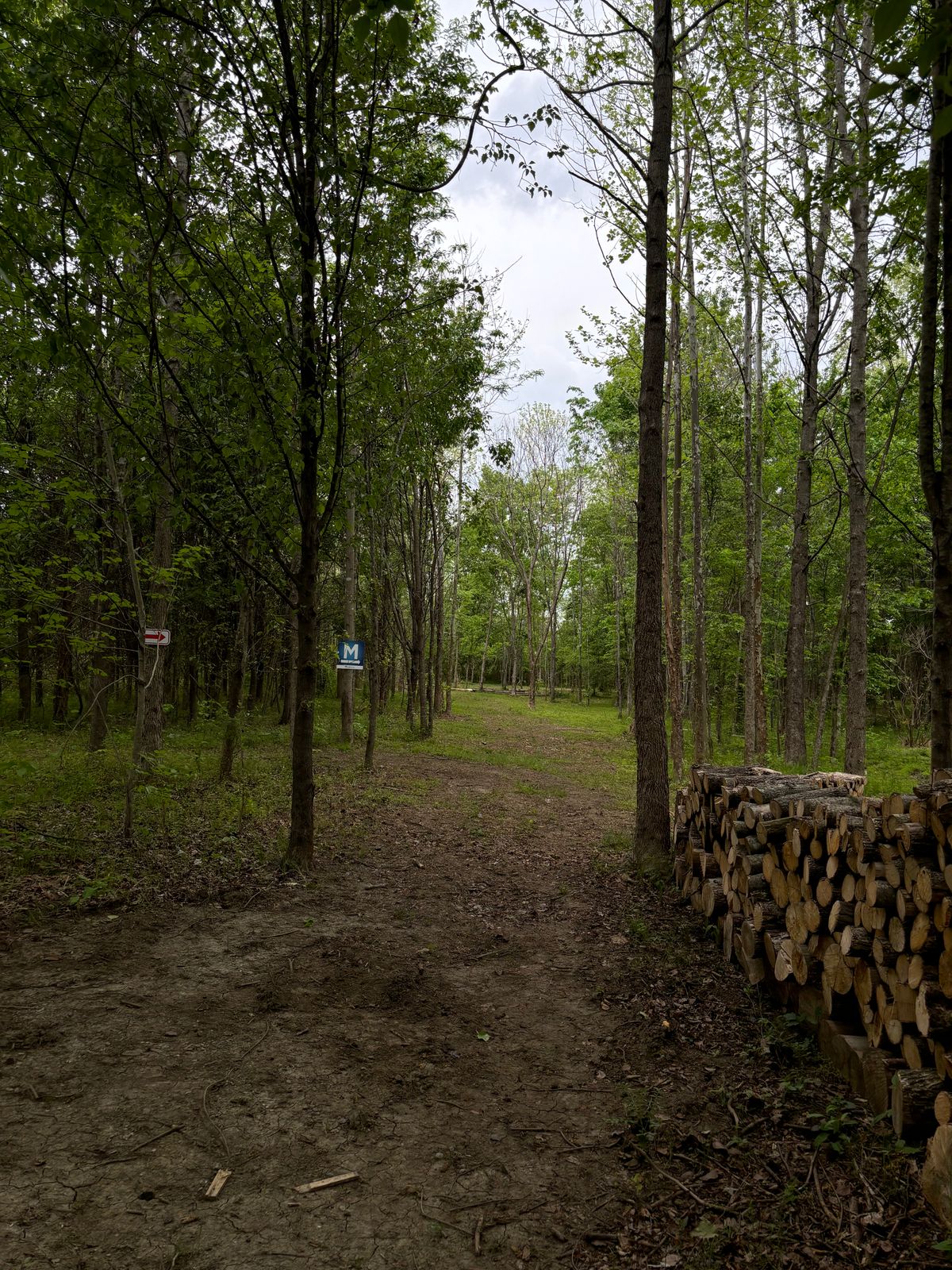 Hole 6