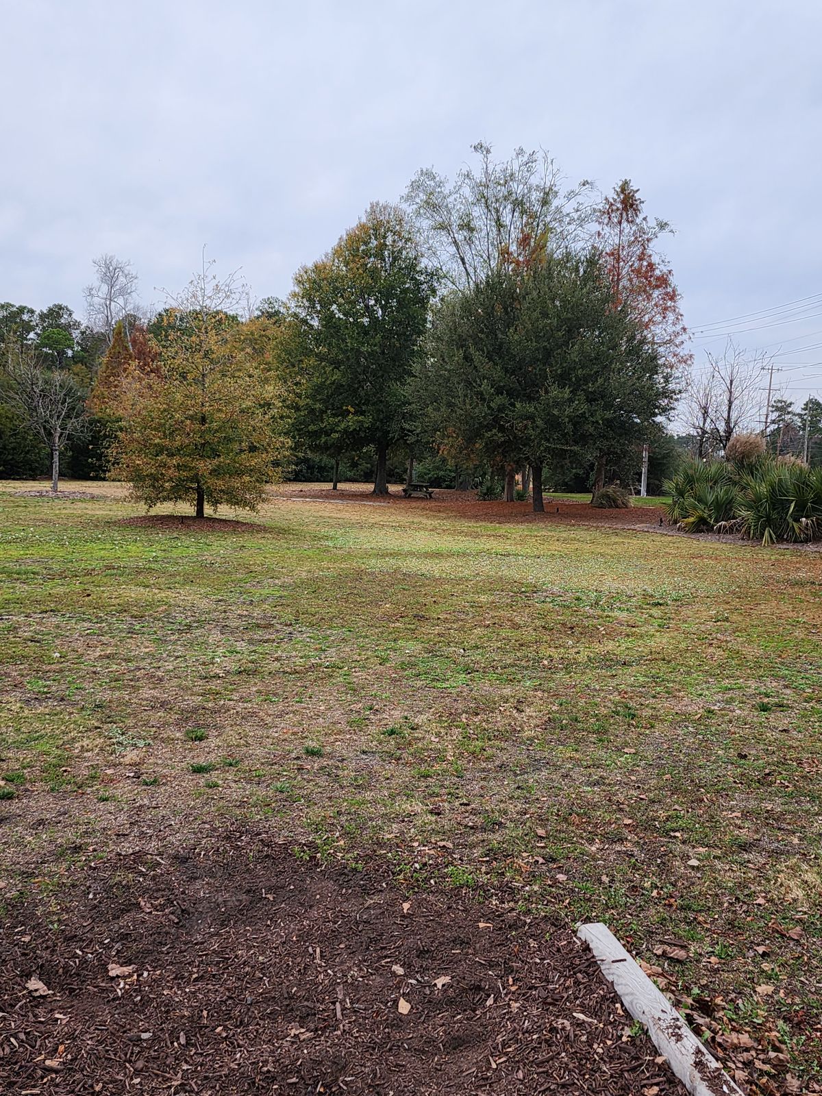 Hole 6