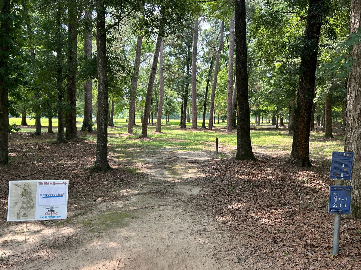 Hole 1 white tee (middle)