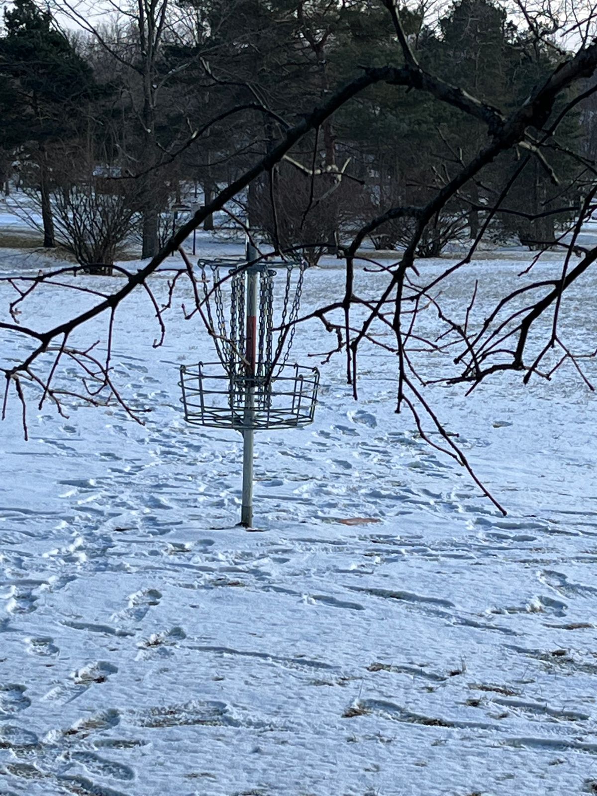 Hole 2 basket. Leave your white disks at home