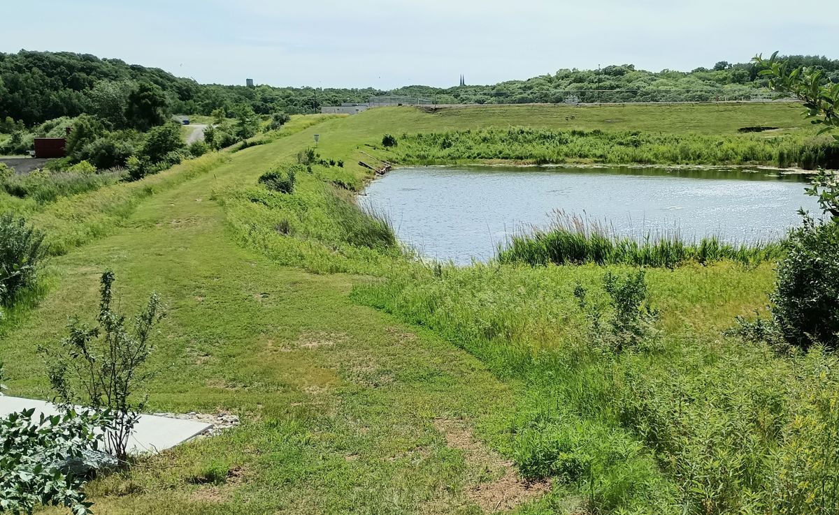 View from course