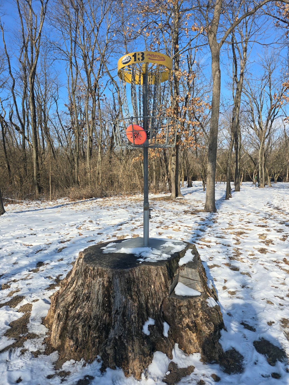 13 on the stump. It's a rare site.