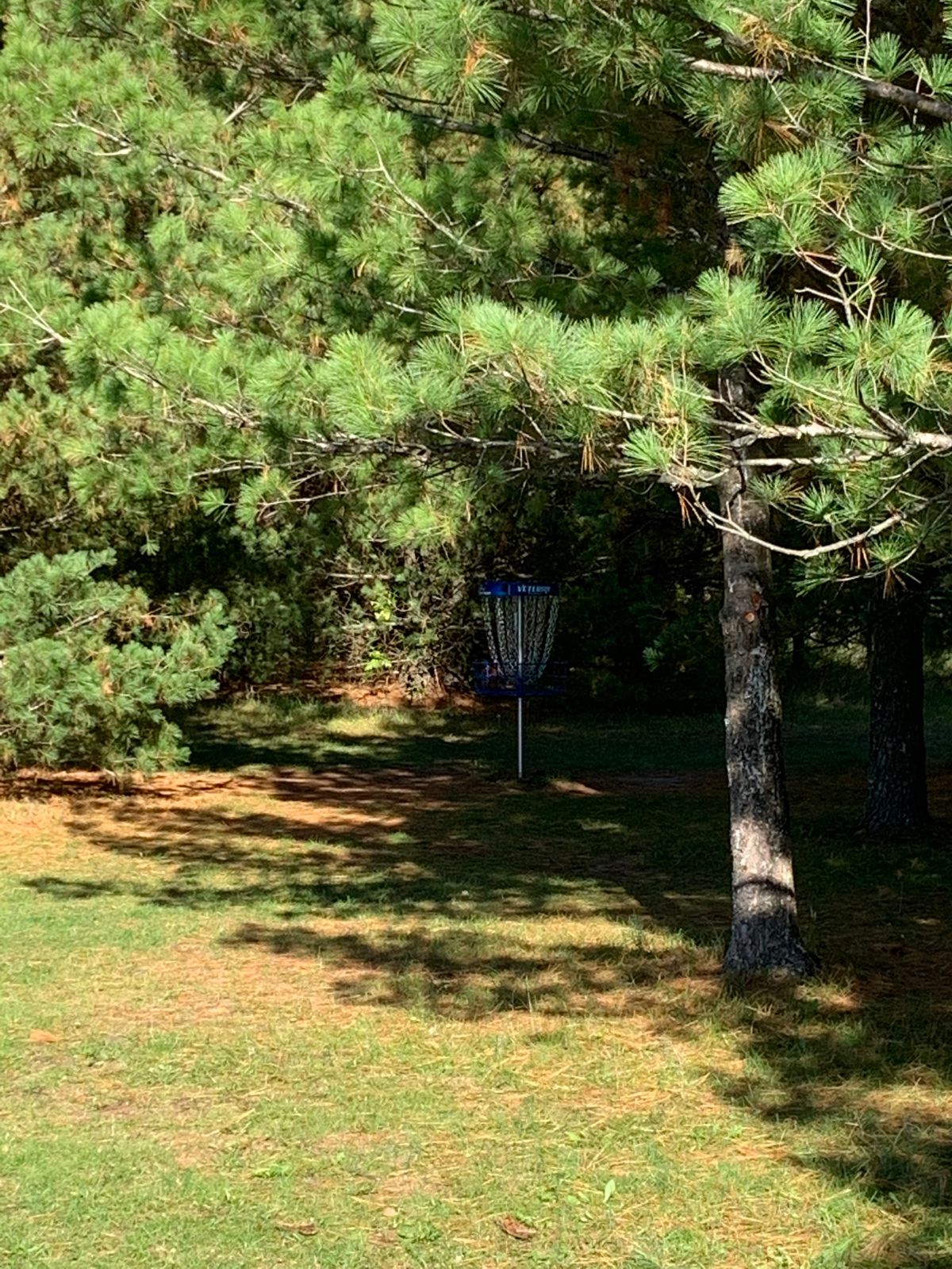 Hole 4 basket