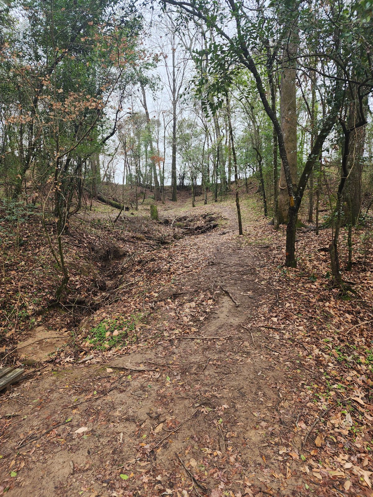 Hole 8. Basket tucked up on the left. Barely visible.