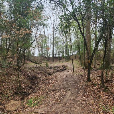 Hole 8. Basket tucked up on the left. Barely visible.