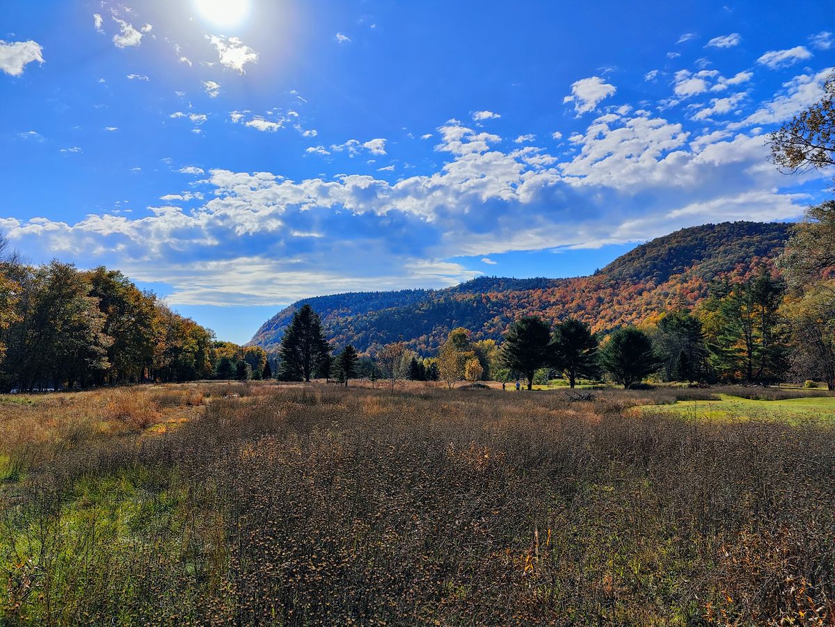Looking back on the course from 2 Red