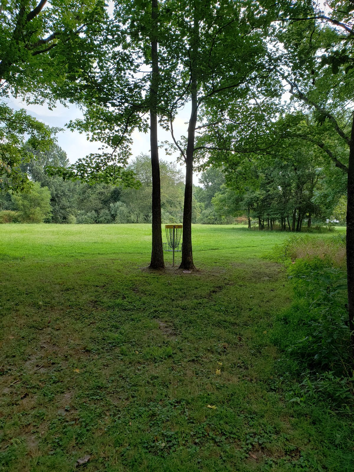 #9 Green,  Basket guarded tightly by two trees