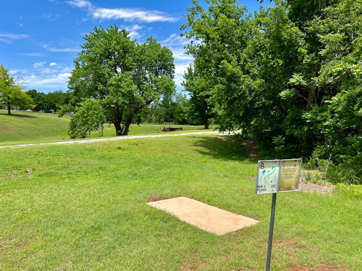 Hole 8. 225 ft par 3 with mandatory around the left of a big tree.