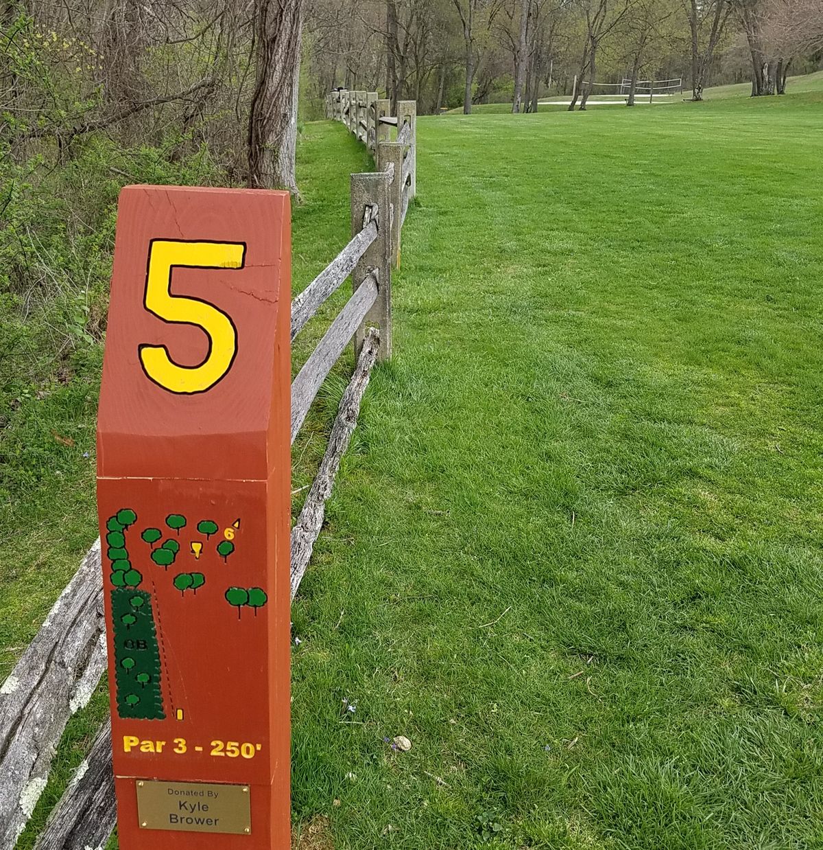 Hole 5 tee