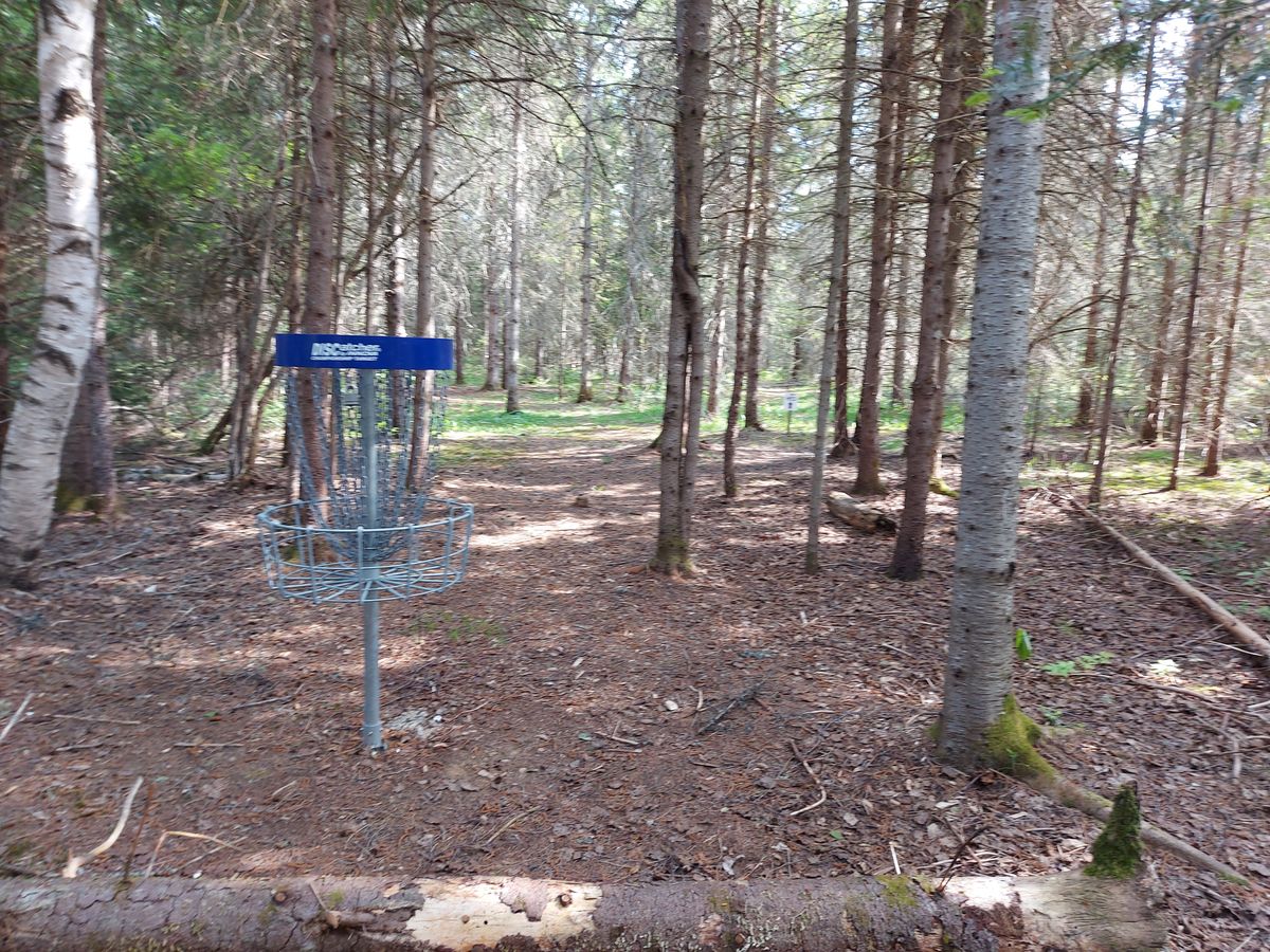 Reverse back up the fairway. 🍁🌲🍁🌲🍁🌲