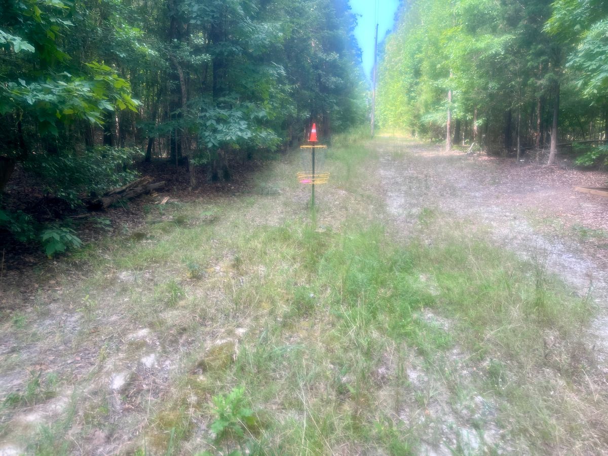 Hole 2 approach