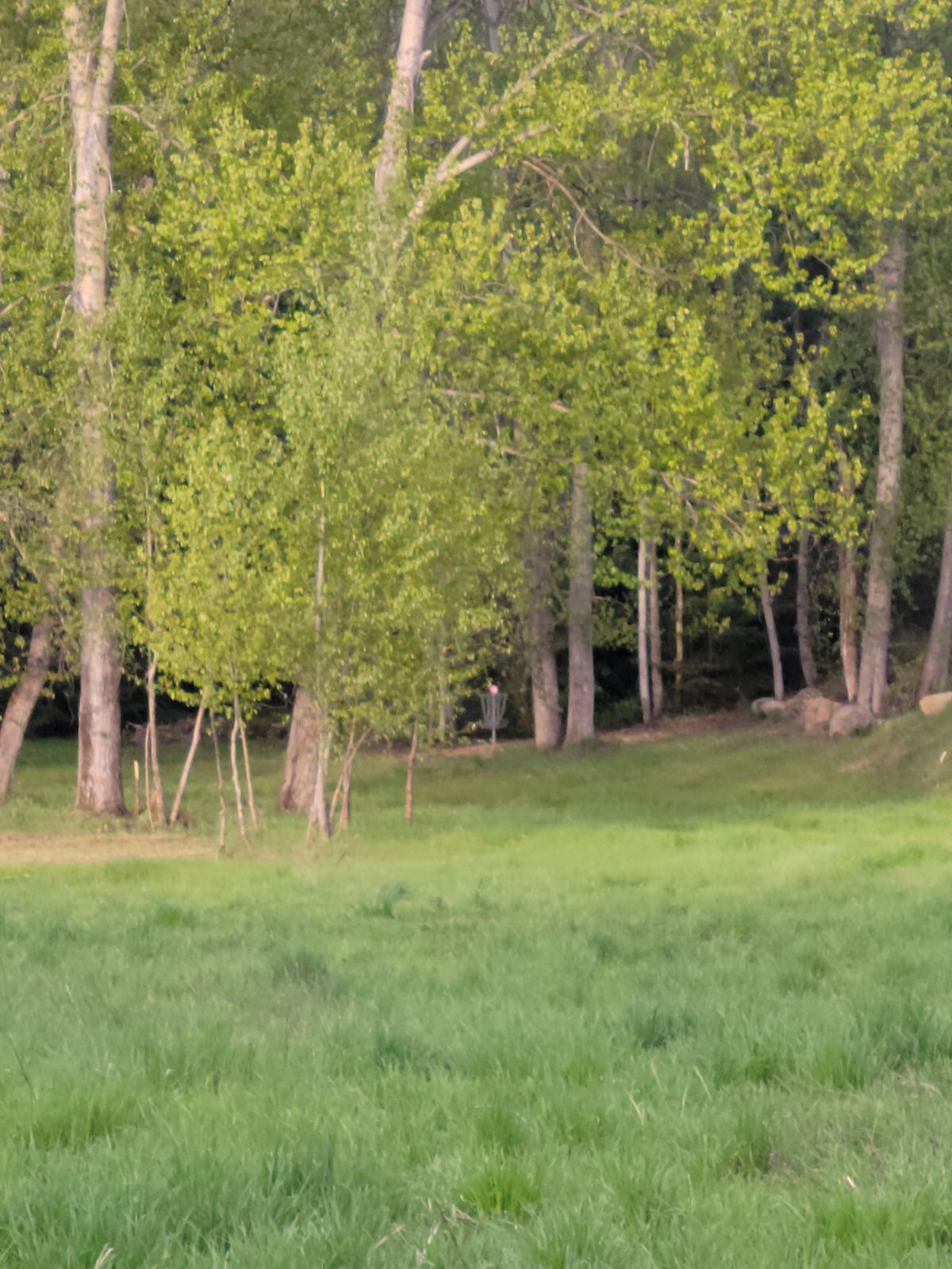 short location