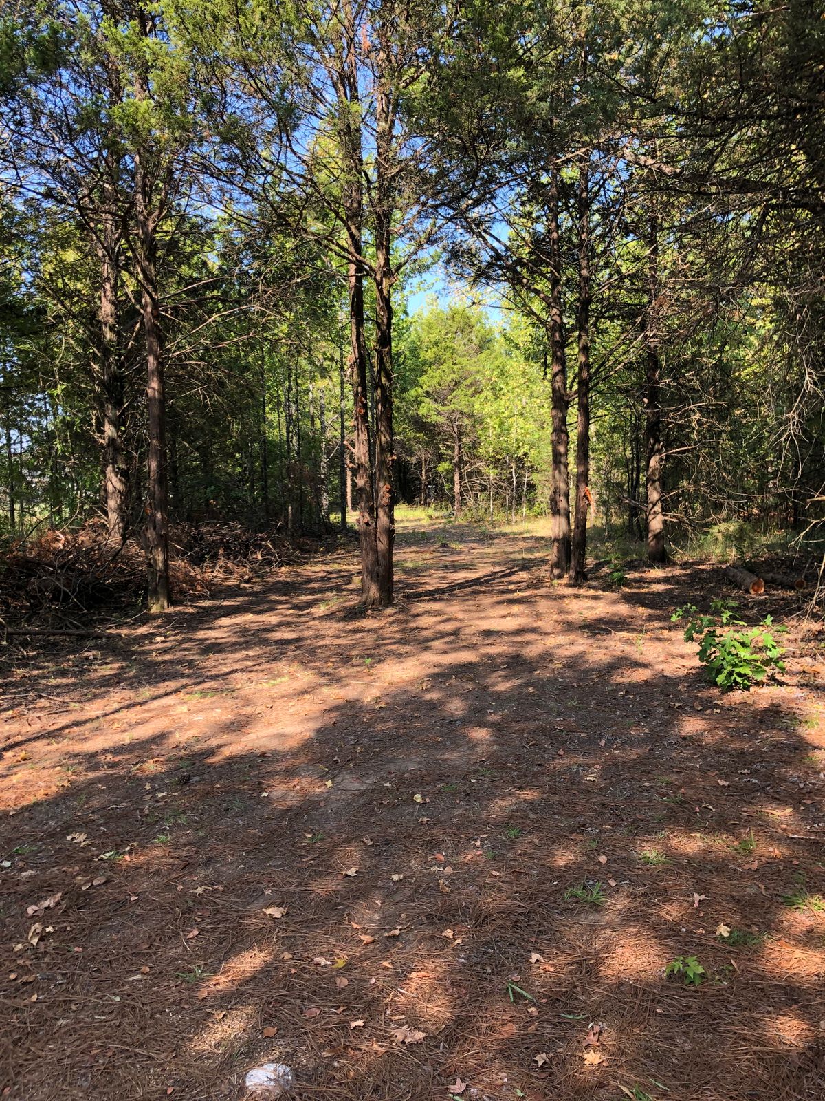Hole 4