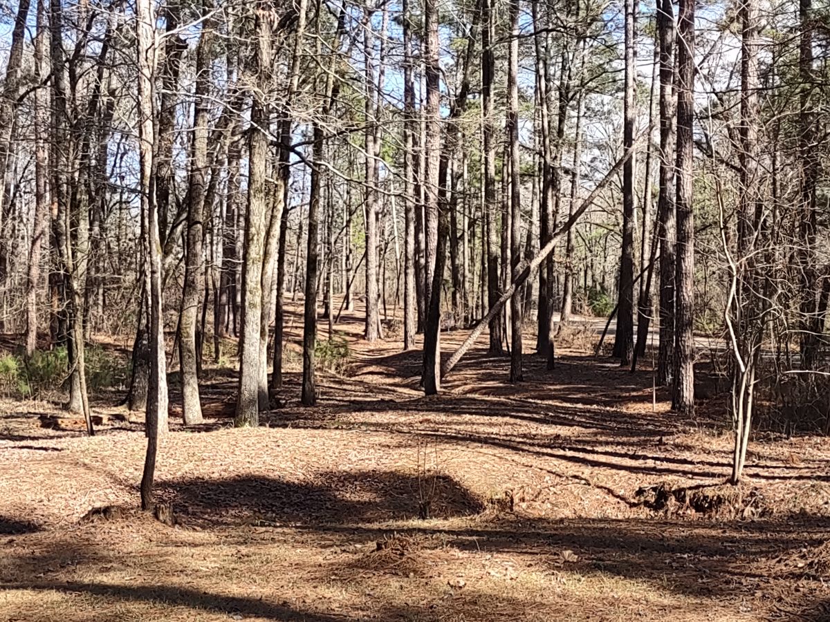 #3 Fairway