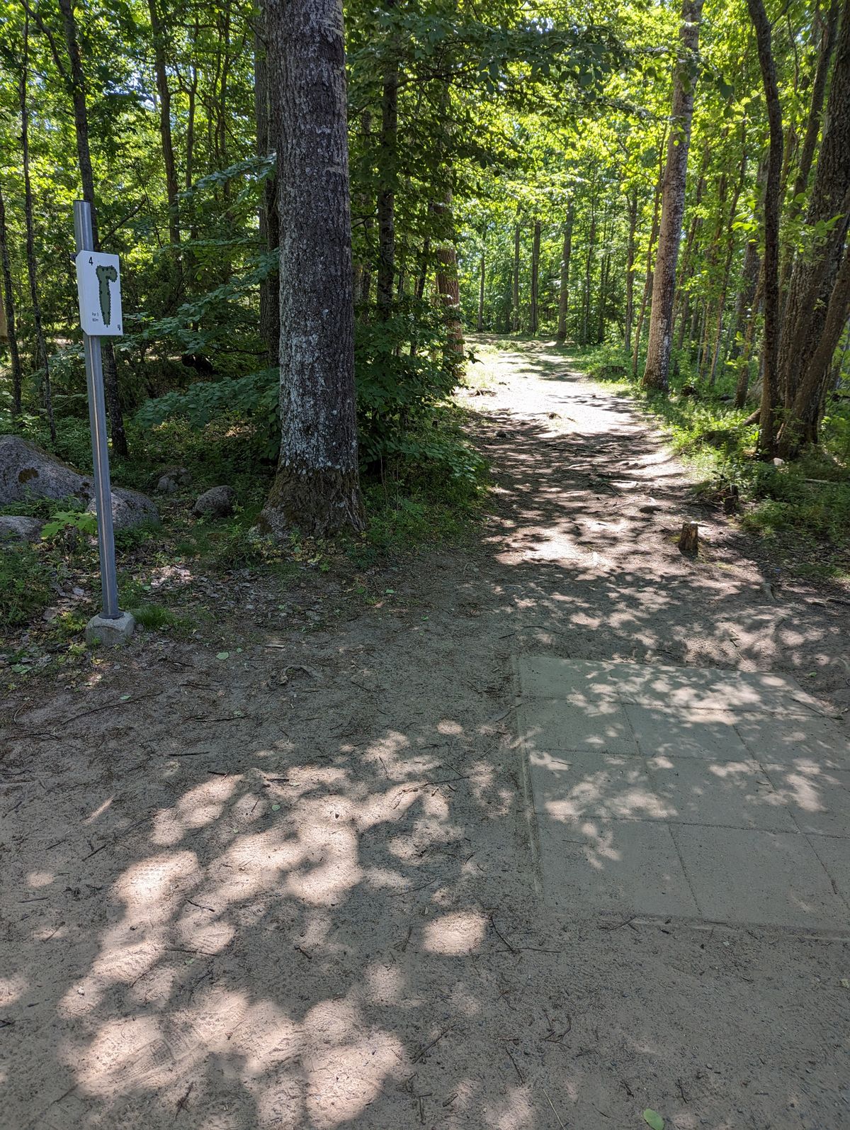schöne Waldbahnen
